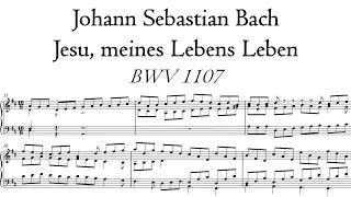 Bach - Jesu, meines Lebens Leben, BWV 1107 - Schnitger organ, Martinikerk, Groningen