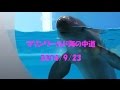 マリンワールド海の中道in2014 の動画、YouTube動画。