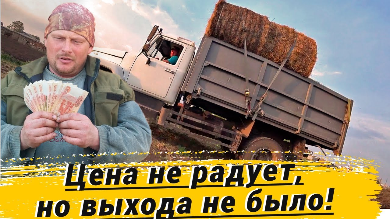 Газель омск москаленки