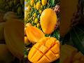 🥭 World's Biggest Mango? 😲 | Amazing Mango Harvest #shorts #organic #farming