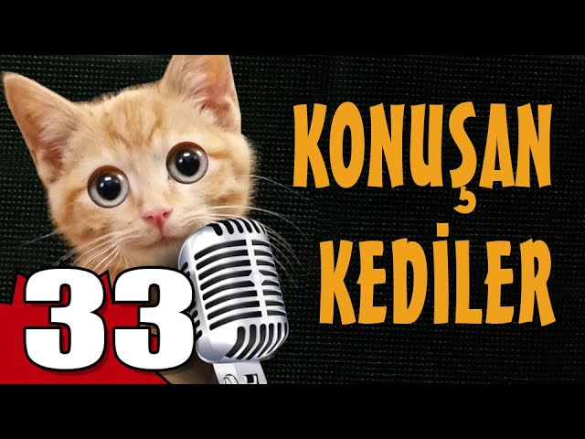 amatör Küba Kız modelleri çıplak at kedi porno Resimler amatör Küba Kız modelleri çıplak at kedi porno Resimler