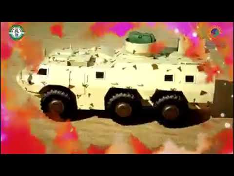 منظومة الصناعات الدفاعية السودانية