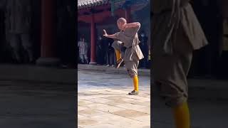 Keren !!! Gerakan Kungfu Yang Indah #shortsvideo #kungfu #viralshort