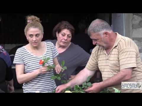 სოფელ ბოლნისს ფლორისტები სტუმრობდნენ