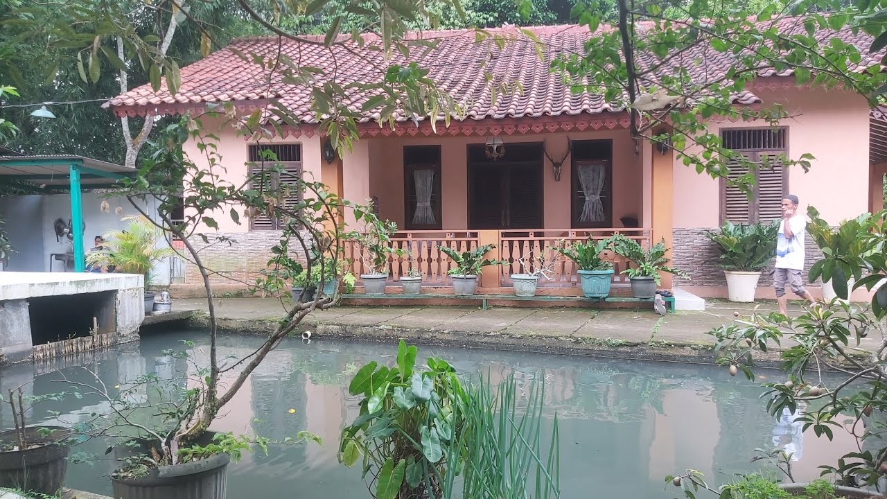 RUMAH KOLAM IKAN MURAH BUAT NGADEM ADA 2 TITIK MATA AIR DKT ke TOL DI CARINGIN BOGOR