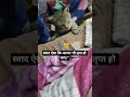 #meowandmore #viral #Clraob🐾🐱🌼🤌