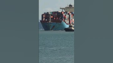 Container Ship On Sea Shore #cargoship #containership #shots #maritime #ship #merchantnavy #vessel