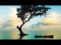 Peaceful music, Relaxing music, Instrumental music, "Quiet Horizons" by Tim Janis