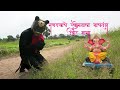 "Ganarayache Swagatala Nachtay Undir Mama" song by Pritesh Bhoir 9619208564