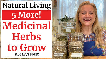 5 More Essential Medicinal Herbs to Grow for Making Home Remedies