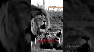 حالات قويه مع عبارات تهديد الاسود  هيبة الاسد