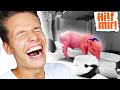 Luca reagiert auf „Hilf Mir!“ - Frau ersetzt Mann durch Schwein