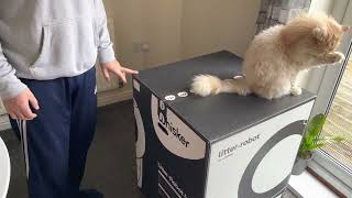 Litter Robot 4 Unboxing by Persian Cat Corner 788 views 1 year ago 4 minutes, 48 seconds