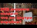 Что внутри коробки УКВ антенны квадрат?