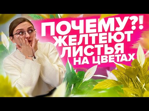 ЖЕЛТЕЮТ ЛИСТЬЯ НА ЦВЕТАХ? Листья все расскажут!