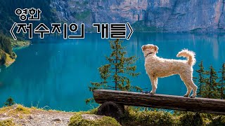 [저수지의 개들]저수지는 안 나오고 개는 나오는,  쿠엔틴 타란티노 영화(스포, 결말)