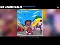 Big Moochie Grape - Money Money Money (Official Audio)