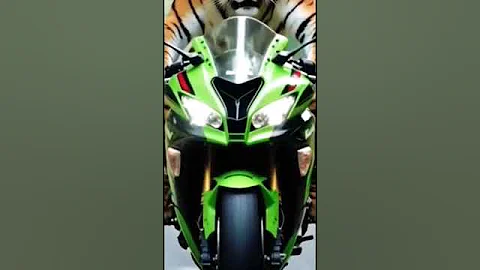 Watch the video about #animation #cartoon #cat #funny #animals #catvideos #funnycatvideos #supercattales #catfunny