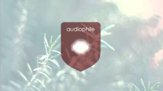 Apex - String Theory