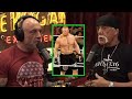 Joe Rogan and Hulk Hogan about Brock Lesnar and,  calling him 