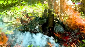 Nhớ hoài vị quê cá lóc nướng trui | Miền ký ức