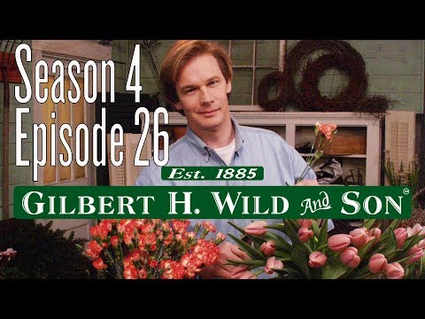P. Allen Smith's Garden Style: Decorating with Flowers (426)
