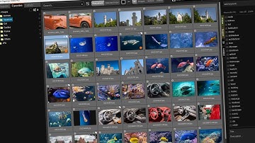PixVis Organizer - manage photos, videos, automatic keyword generation with AI, upload to stock