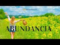 #091 - Abundancia - Un resumen de Libros para Emprendedores