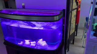 The highs and lows of salinity!