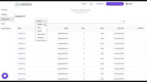Labeling platform by LinkedAI