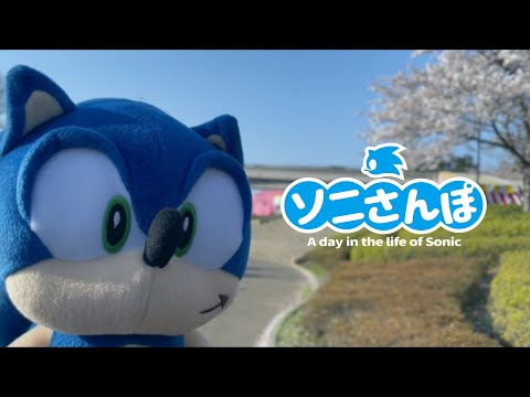 サボさん。 さび on X: 