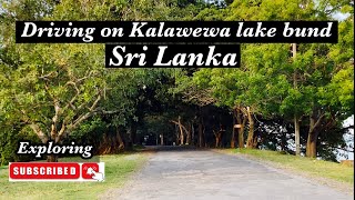 Kalawewa lake bund ||driving || Kalawewa bund trip || Sri Lanka || Kalawewa dam|| Sri Lanka