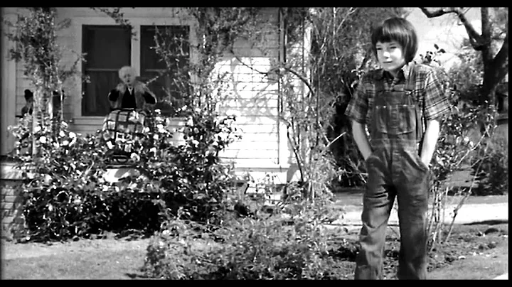 To kill a Mockingbird miss Dubose scne