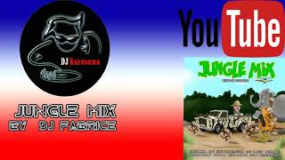 JUNGLE MIX  BY  DJ Fabrice