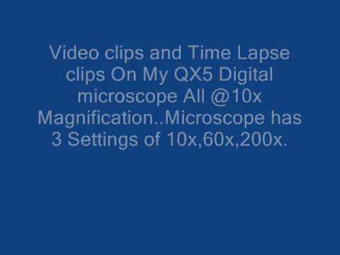 digital blue microscope qx5 software digital blue microscope qx5 software