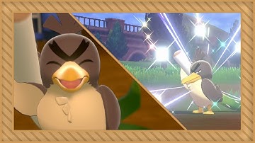 [LIVE] Shiny Galarian Farfetch