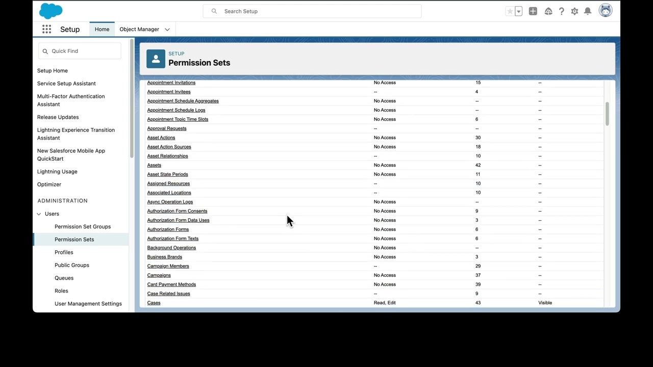 Salesforce Demo - User Access Admin Assistant