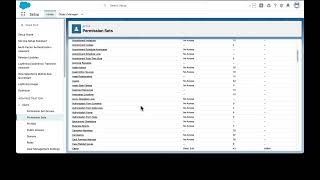 Salesforce Demo - User Access Admin Assistant