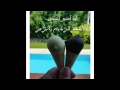 نشيد أصير أحسن حمود الخضر بدون موسيقى نشيد أصير أحسن حمود الخضر بدون موسيقى