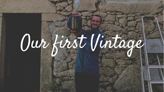 How to make Natural Wine. Our First Vintage from start to finish.