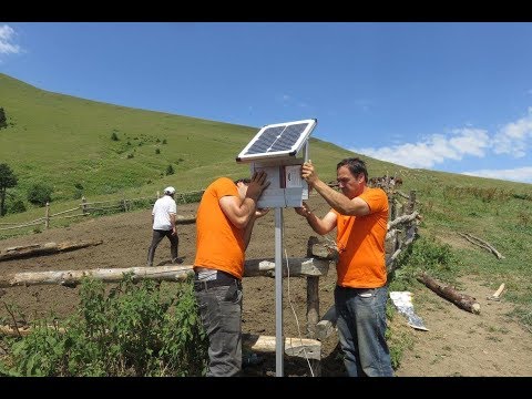 ტელესიუჟეტი: მზის პანელებით აღჭურვილი ავტონომიური ელექტროღობეები ბორჯომ-ხარაგაულის ეროვნულ პარკში