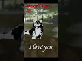 Say you stupid line…#warriorcats#warriorcatsedit#wcue#fypシ#warriorcatsultimateedition#robloxedit