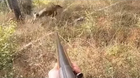 Best Action Clips and Shots of 2021 Deer Season!