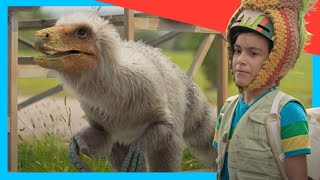🐔 What If T-Rex Was Fluffy?  Dino Science Gets Wild! | Dino Dex | Dinosaurs for Kids