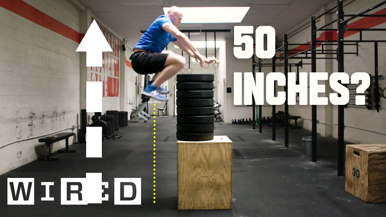 Why It'S Almost Impossible To Jump Higher Than 50 Inches | Wired