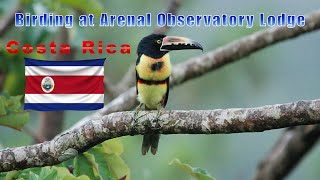 Birding In Costa Rica at Arenal Observatory Lodge  Bird Photography