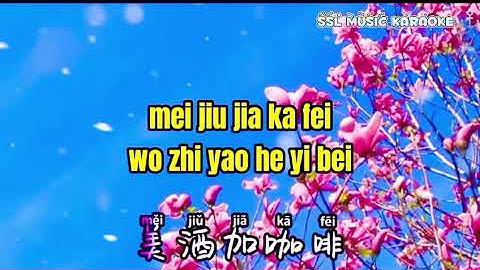 #美酒茄咖啡#mei jui jia ka fei .KTV 旧歌 最好听 💕😍🎶🎙️最流行歌曲