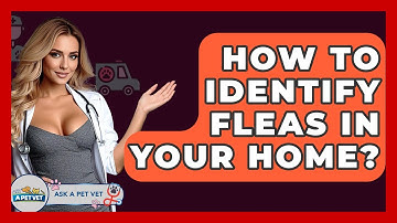 How To Identify Fleas In Your Home? - Ask A Pet Vet