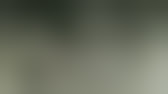 Chi ha vinto e chi ha perso la Seconda Guerra Mondiale?