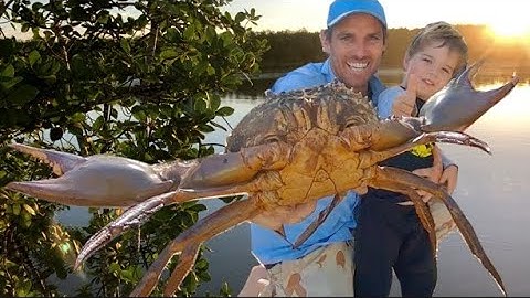 CATCHING GIANT MUD CRABS   A Beginners Guide   HD 1080p